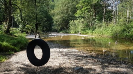 Möglichkeit für Hitzenlinde zu spenden