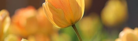 Schreiben der Schulleitung vom 03.04.2020